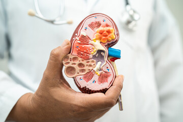 Diabetic kidney disease